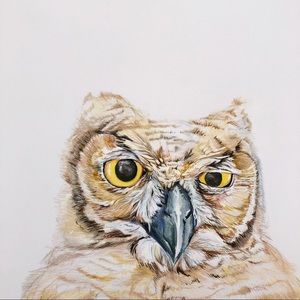 Meet your Posher, Brandy